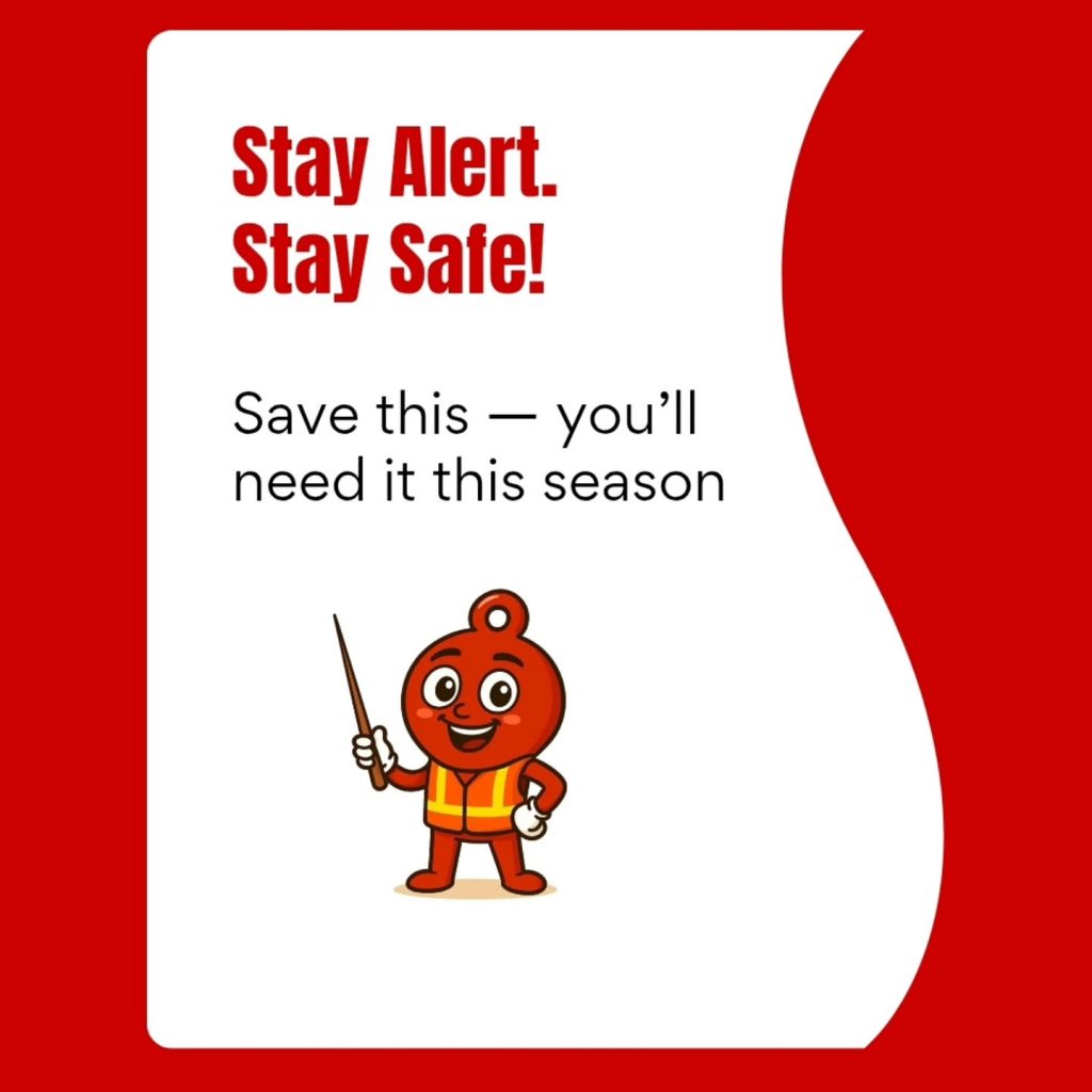 Instagram post from naunausosapp. This post is in position 6.